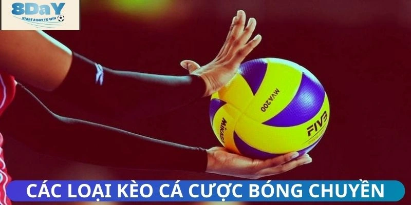 Các loại hình dự đoán bóng chuyền phổ biến hiện nay